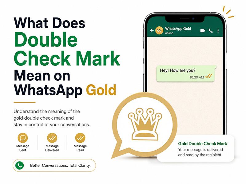 What Does Double Check Mark Mean on WhatsApp Gold